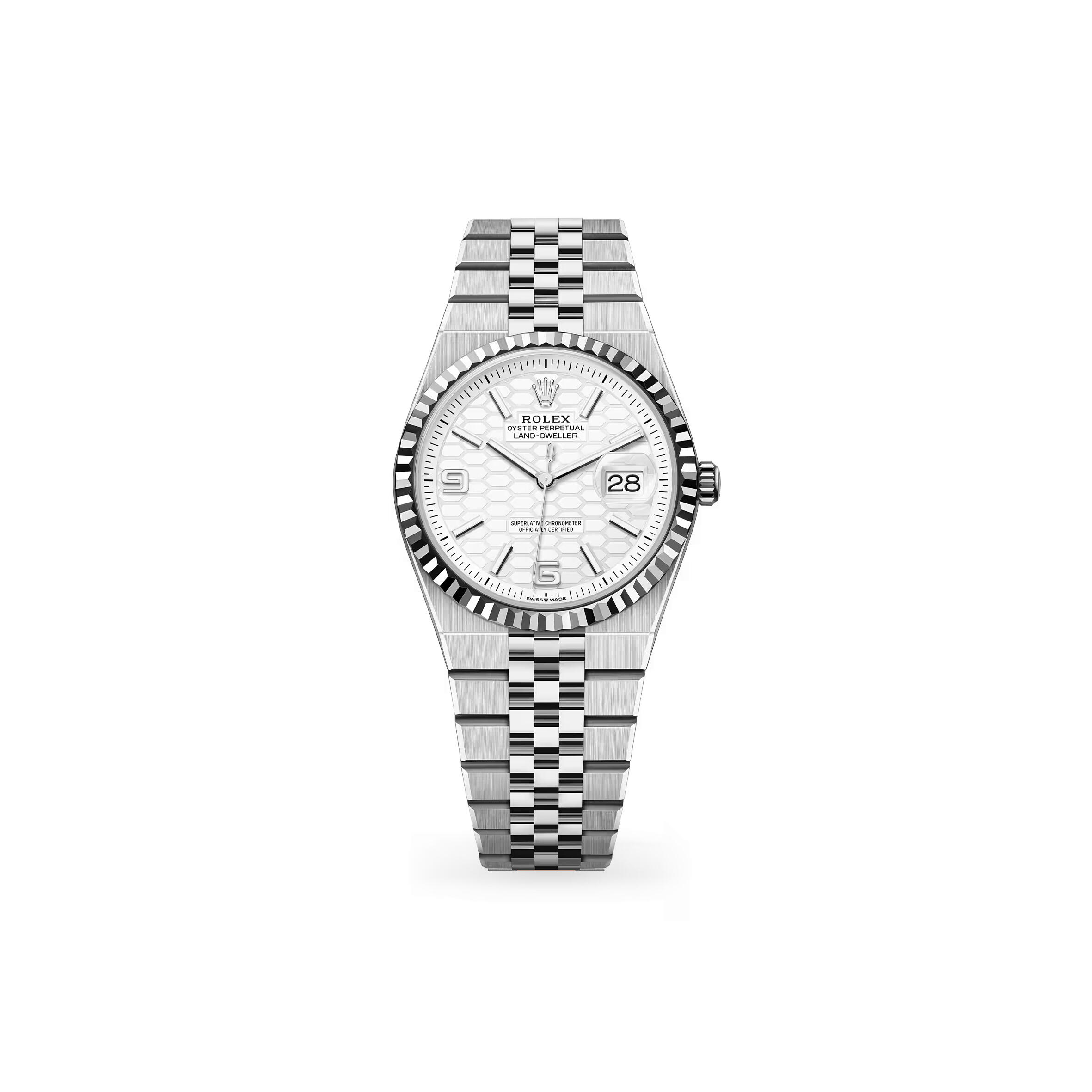 R01ex land-dweller 36 oyster, 36 mm, oystersteel and white gold 127234